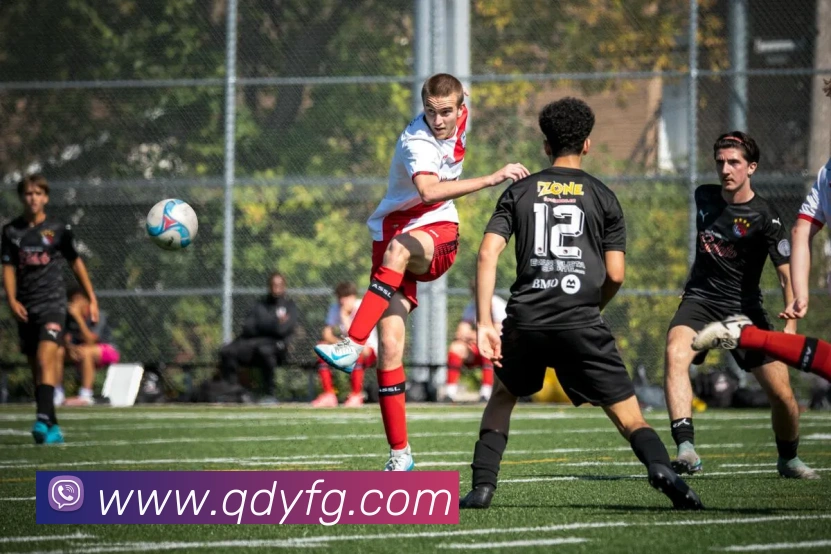 米兰app体育安全登录入口平台生态图