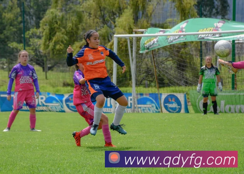 米兰app体育安全登录入口APP 封面图